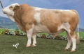 HORTOBAGY