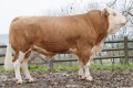 GS RICHELIEU